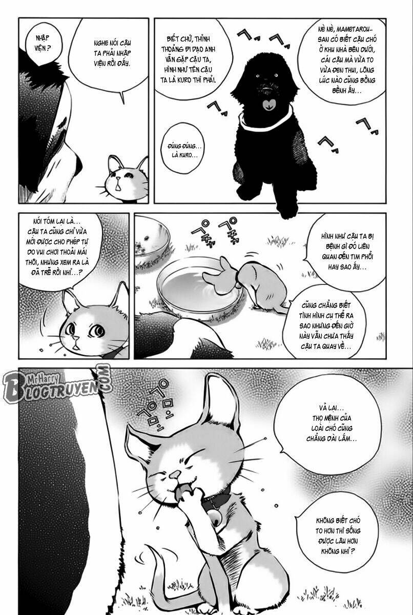 Chương 166 - Trang 7
