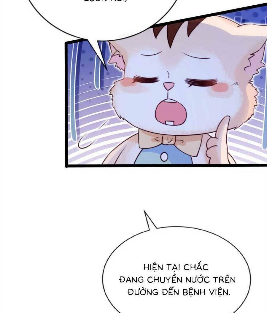 Trang 51