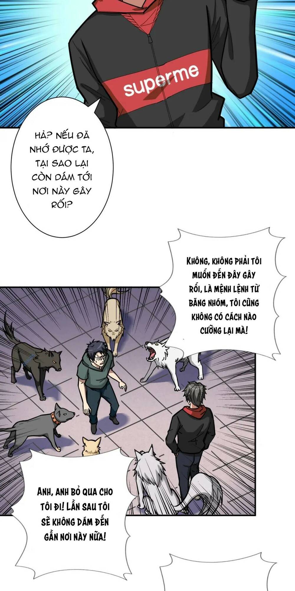 Trang 19