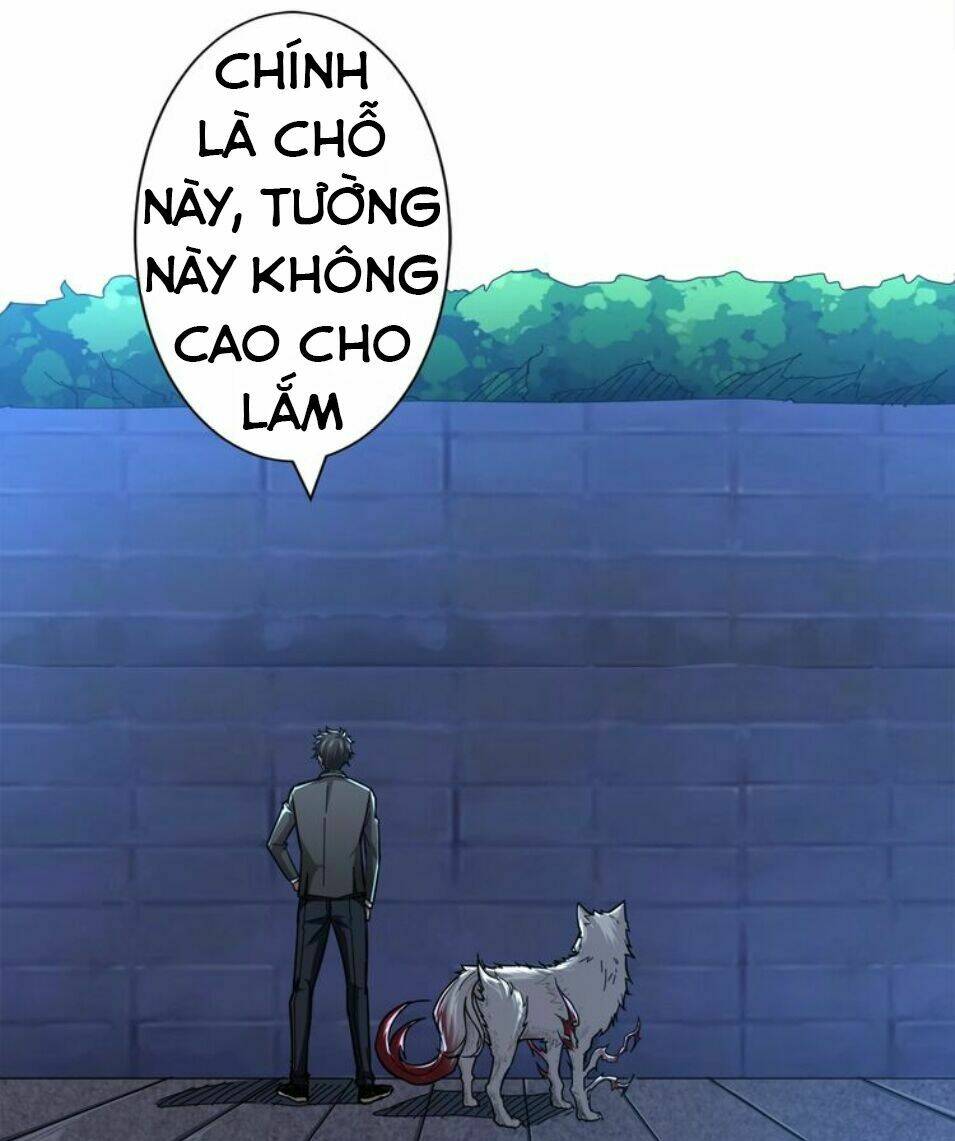 Trang 21