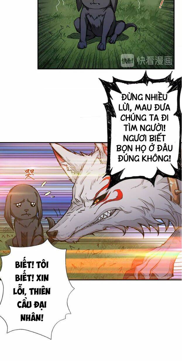 Trang 17