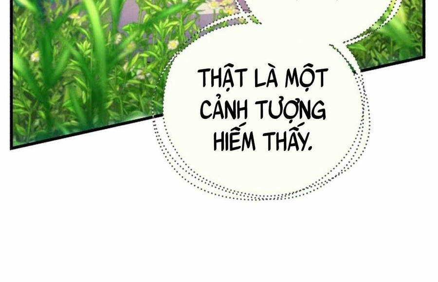 Chương 181 - Trang 19