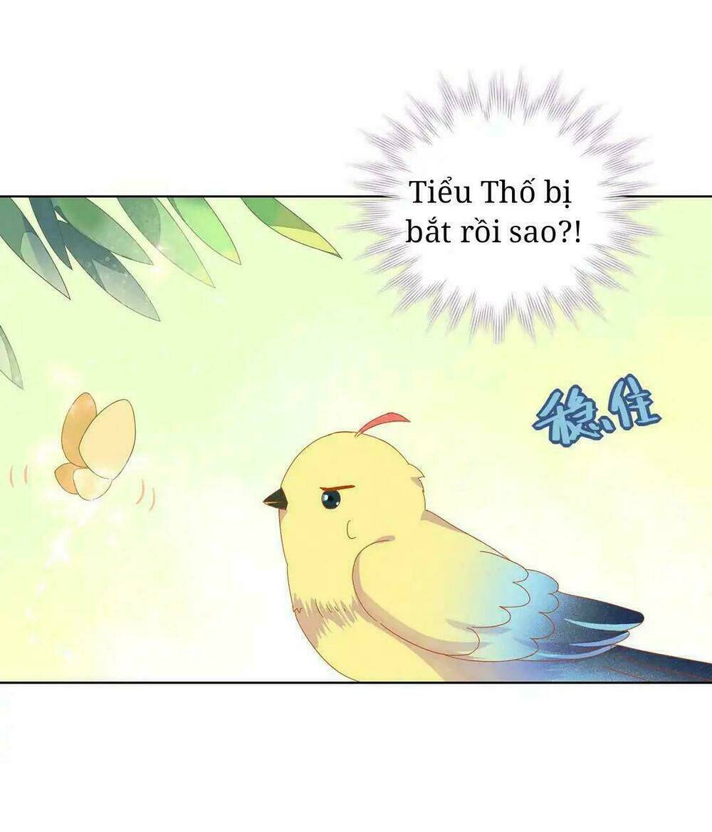 Chương 13 - Trang 5