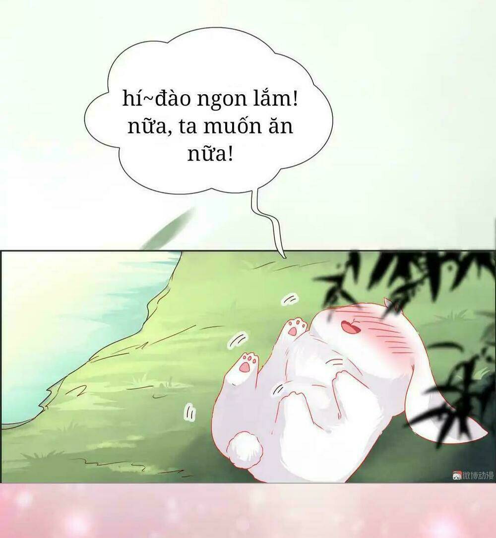 Chương 2 - Trang 4