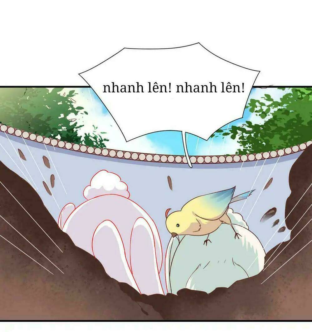 Chương 25 - Trang 10