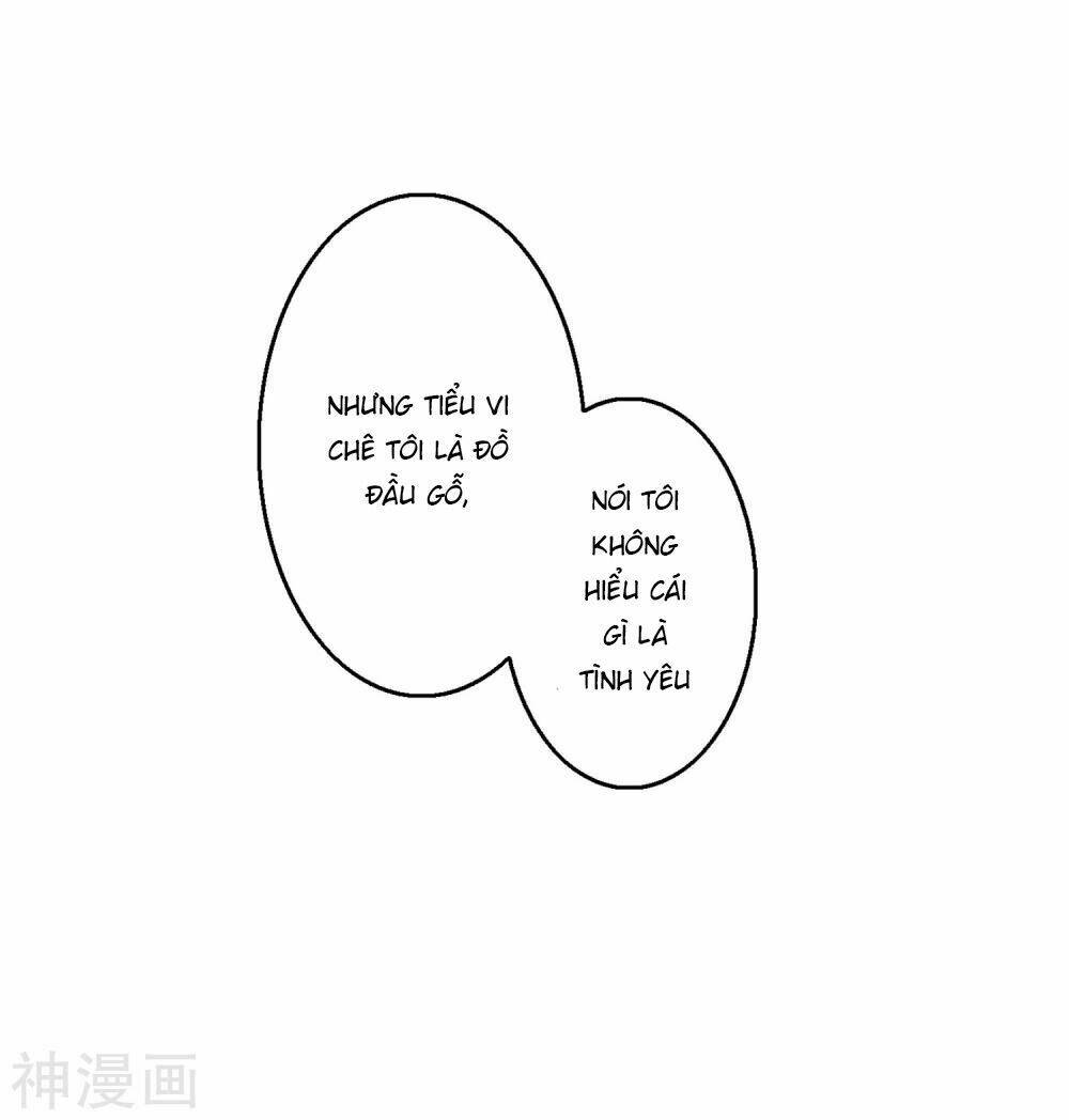Chương 13 - Trang 17