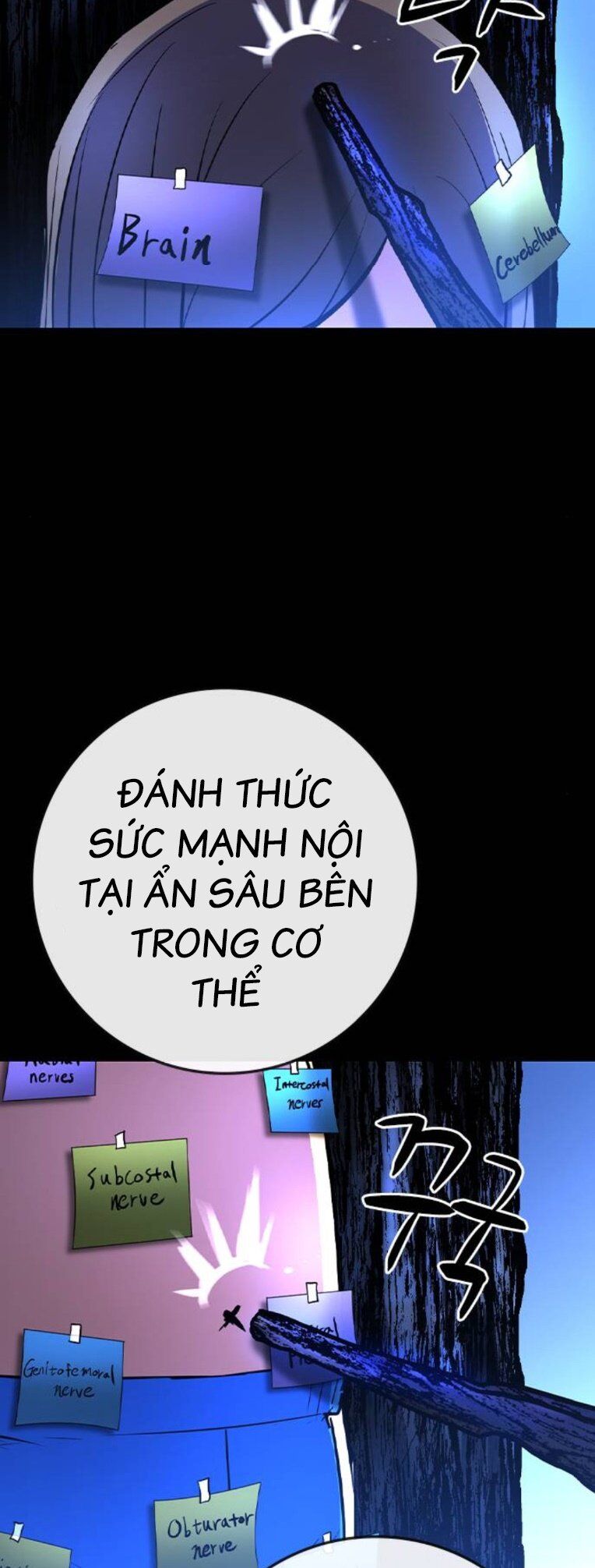 Chương 171 - Trang 5
