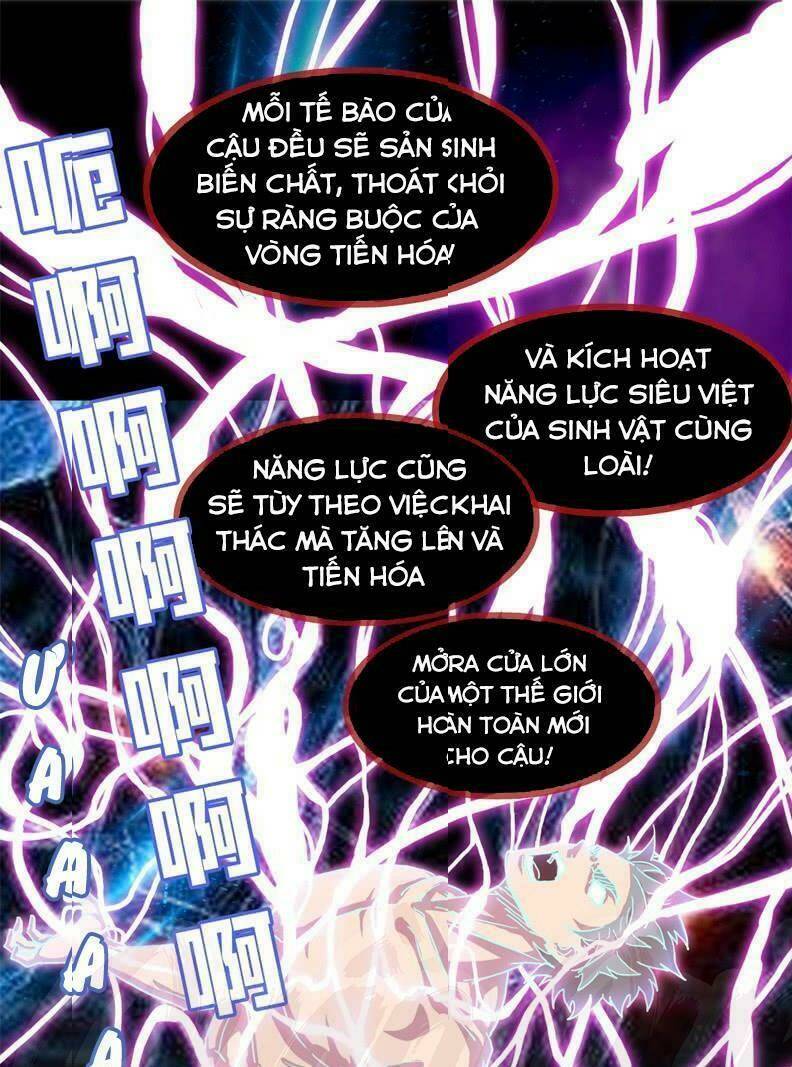 Chương 2 - Trang 11