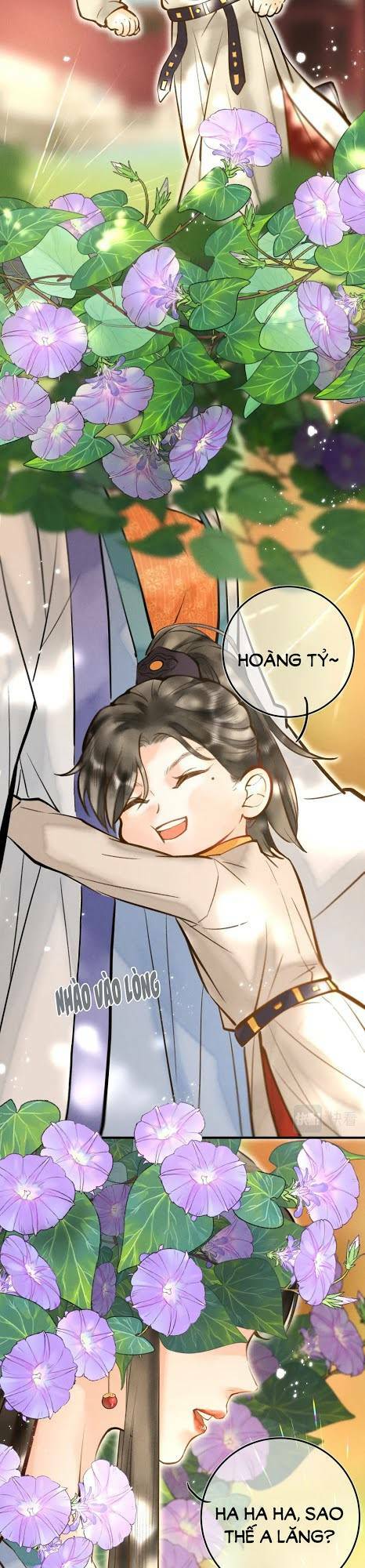 Trang 15