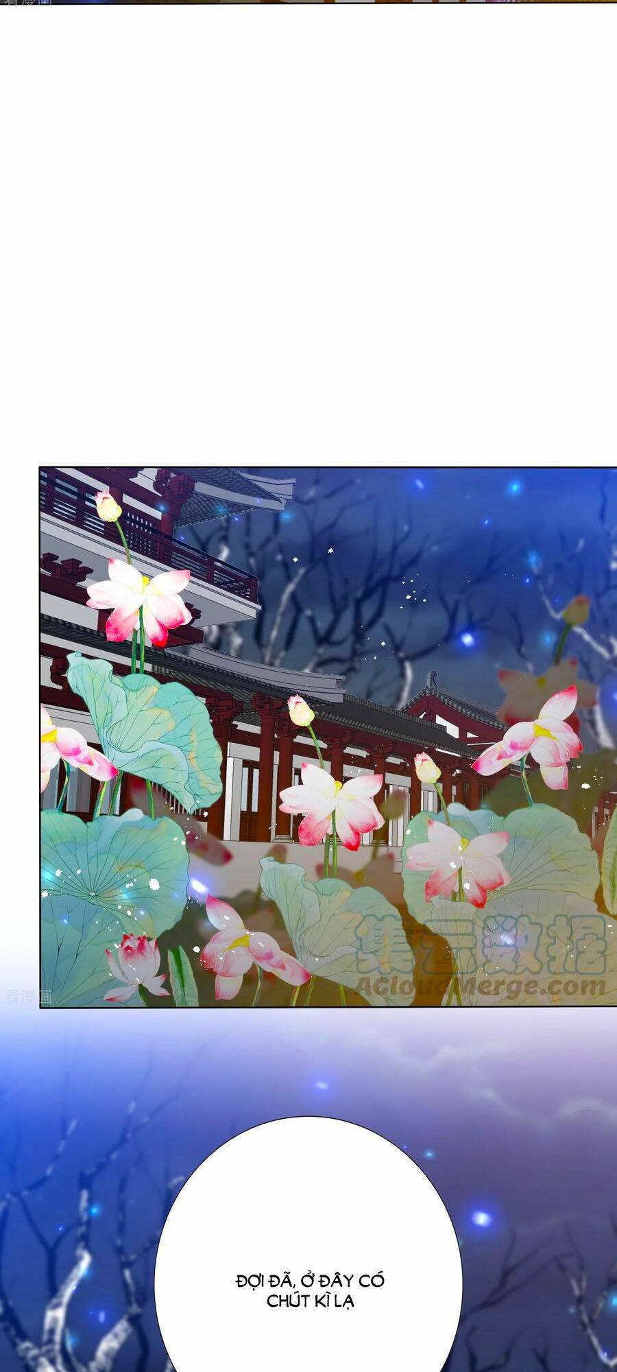 Trang 15