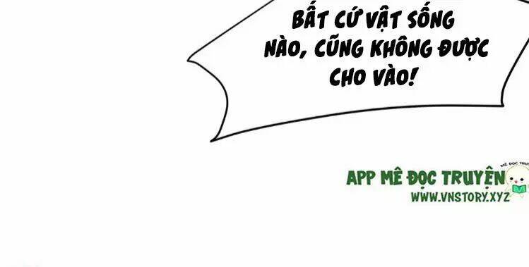 Trang 51
