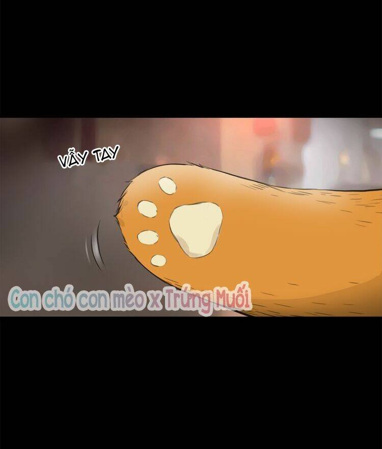 Chương 12 - Trang 3