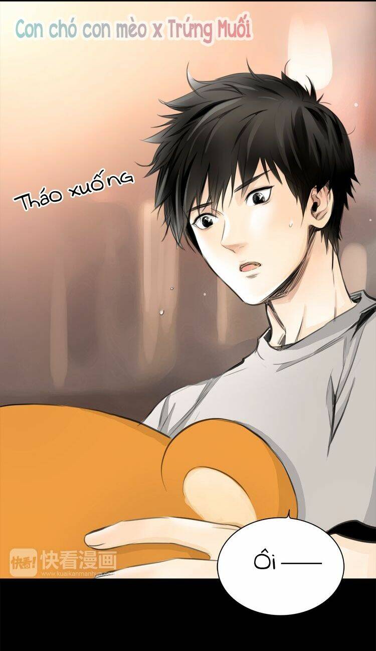 Chương 12 - Trang 6