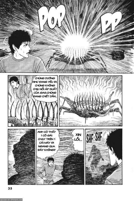 Chương 12 - Trang 13