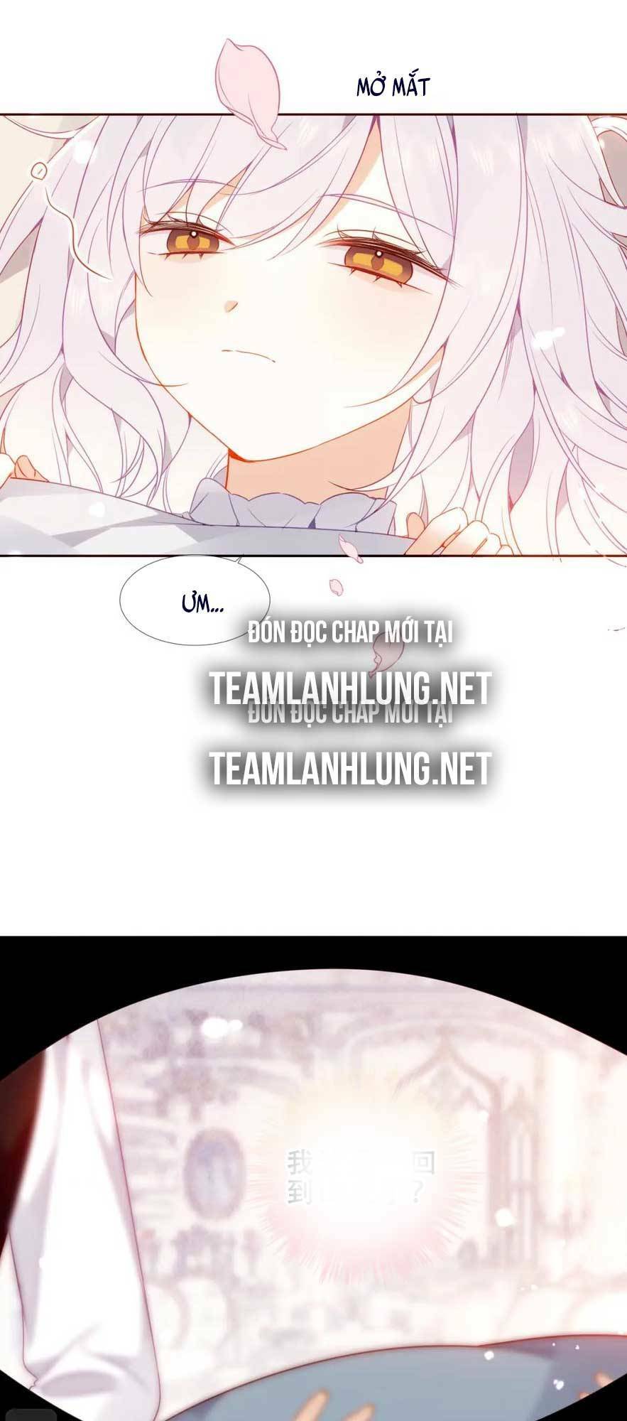 Chương 42 - Trang 20