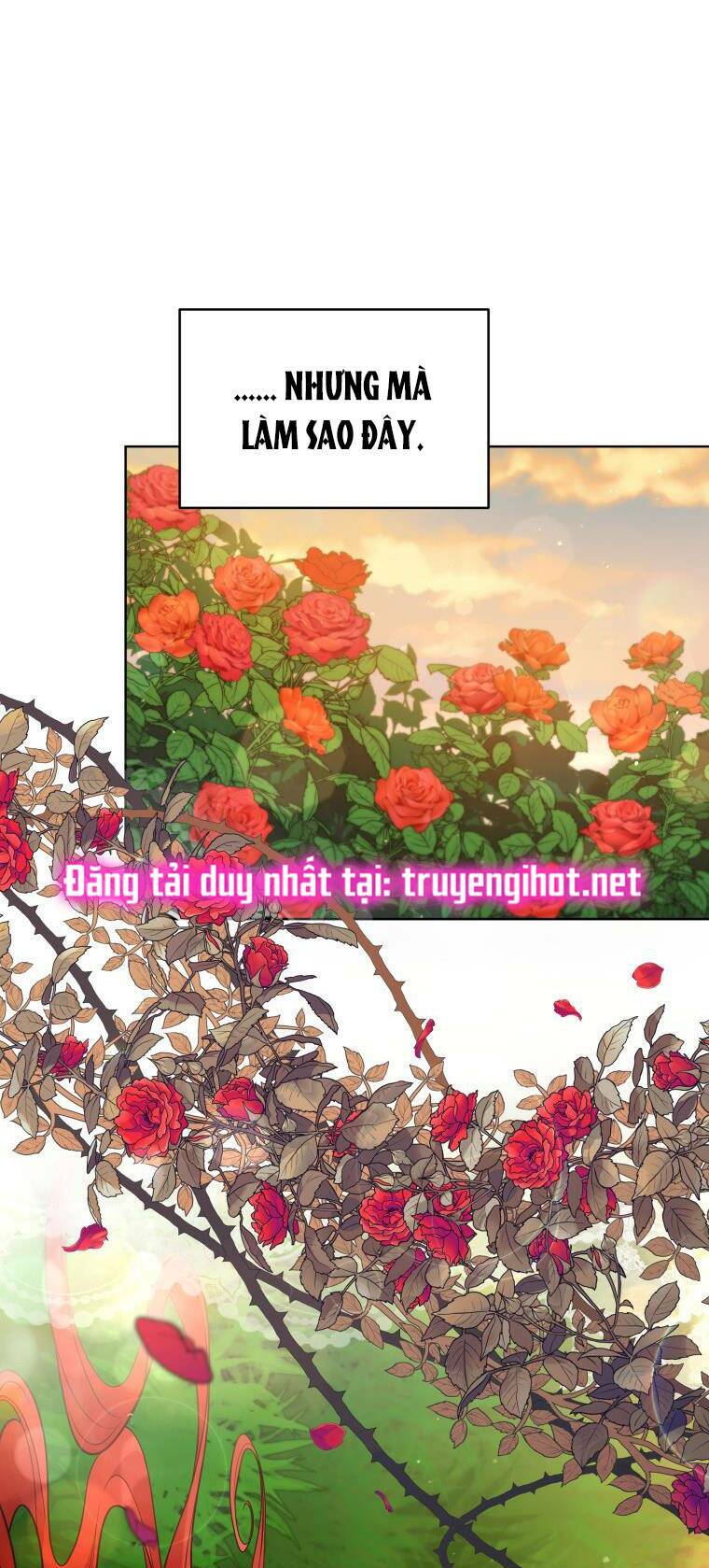 Chương 66 - Trang 66