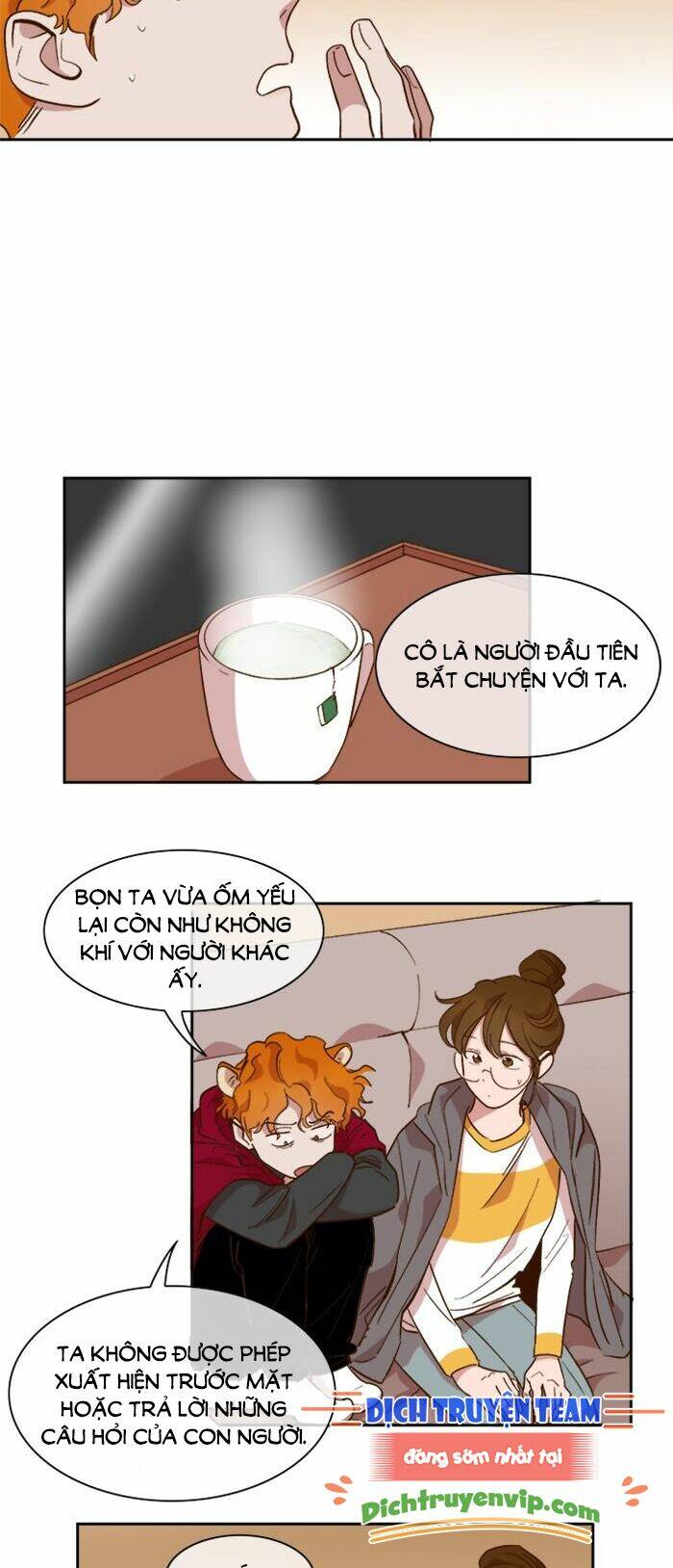 Chương 44 - Trang 21