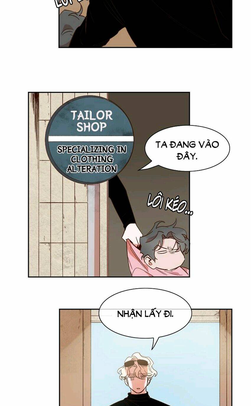 Trang 19