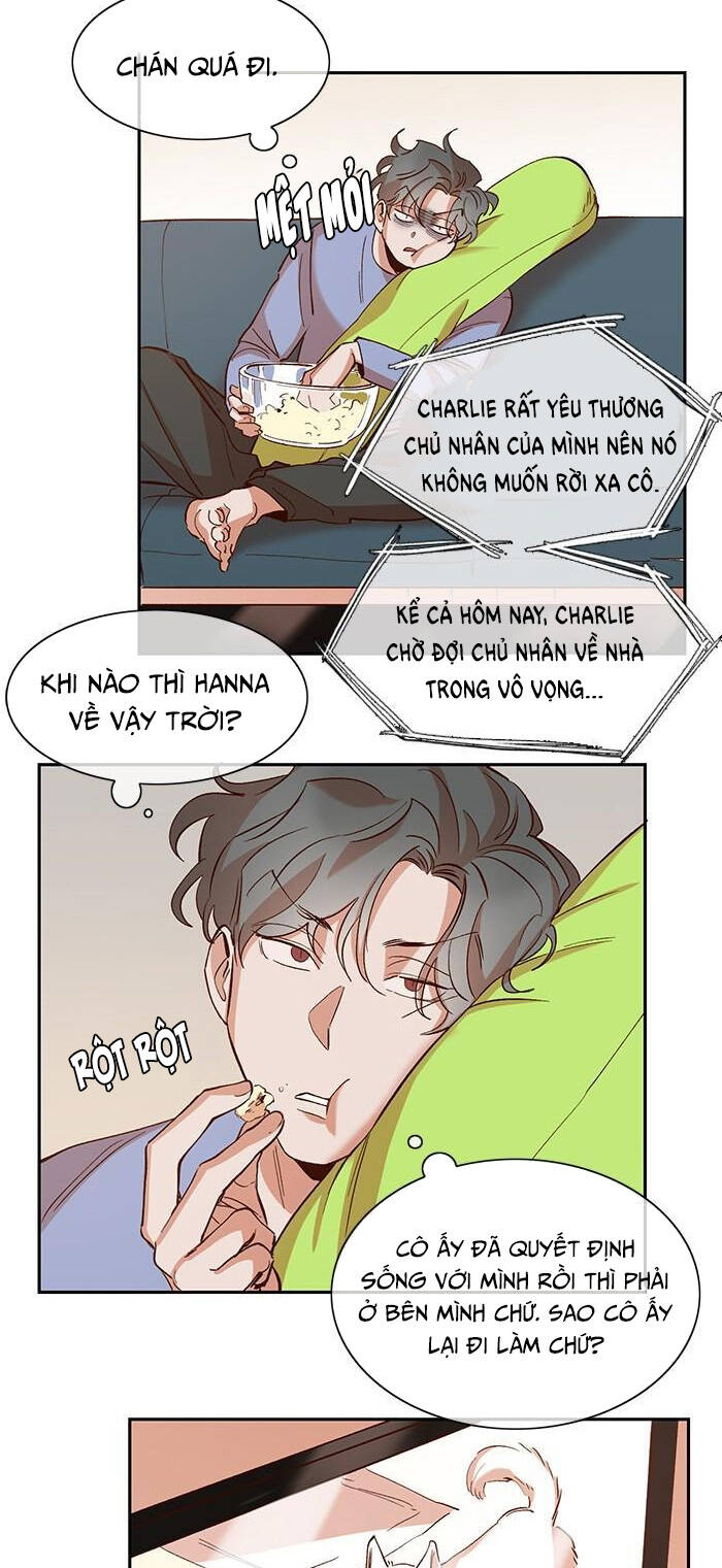 Chương 99 - Trang 14