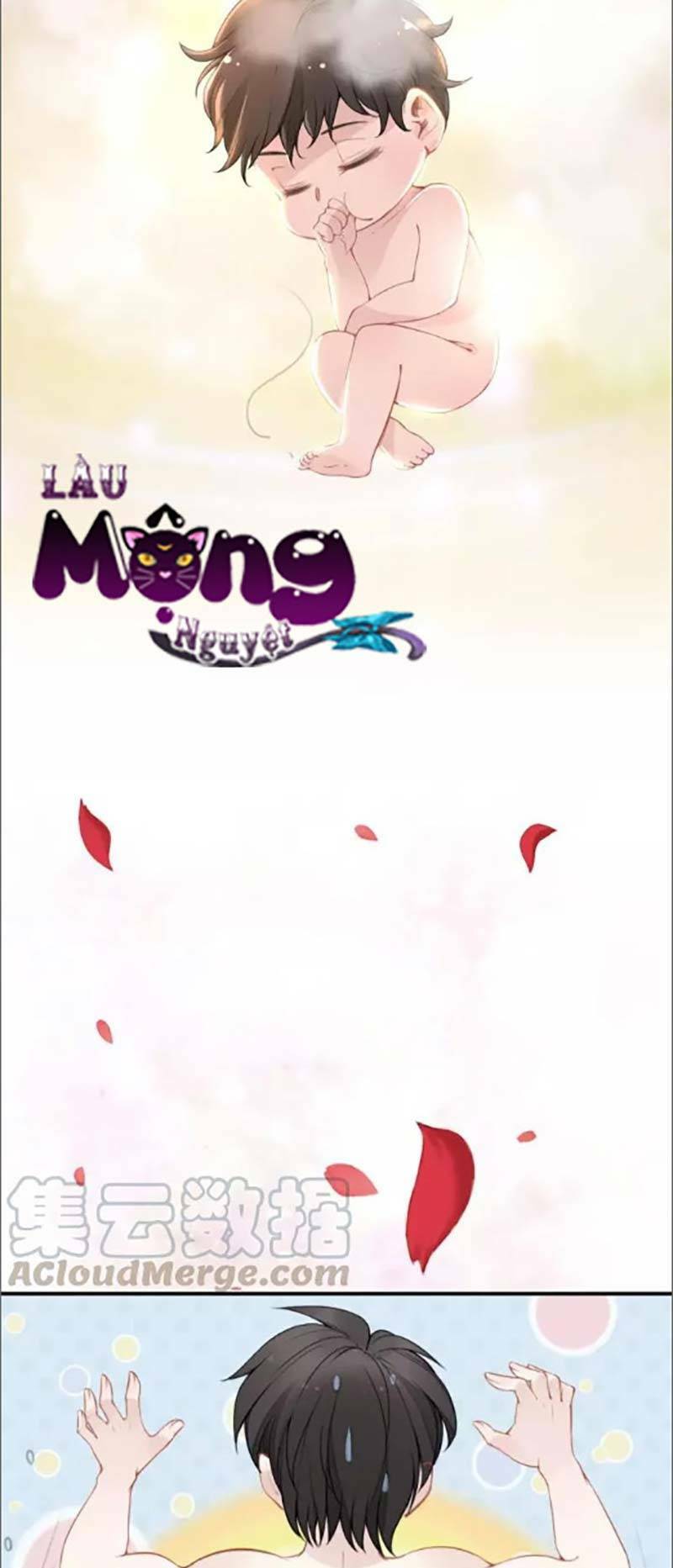 Trang 25