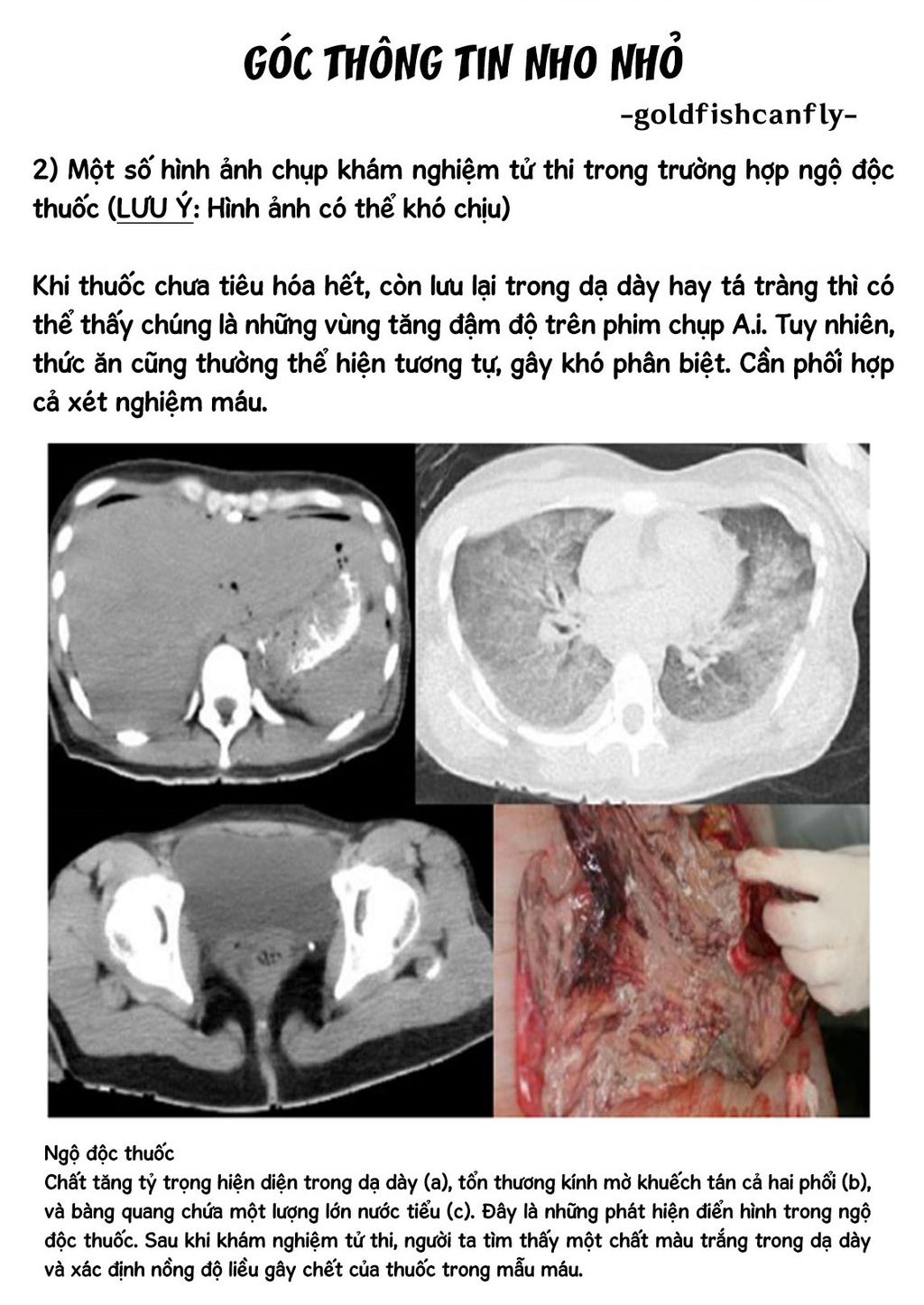 Chương 104 - Trang 27