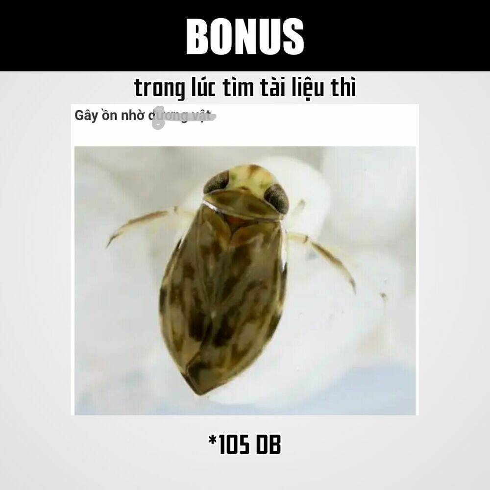 Chương 64 - Trang 21