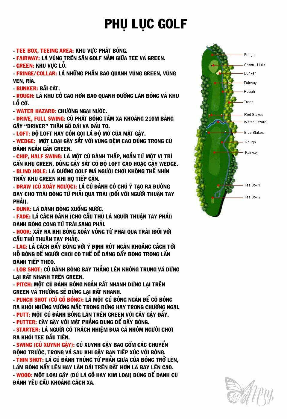 Chương 2 - Trang 3