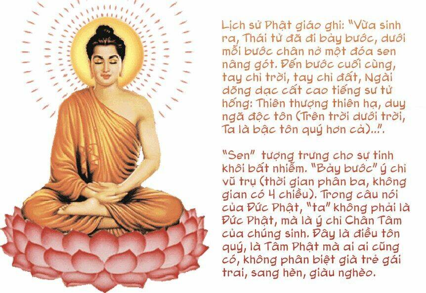 Chương 24 - Trang 21