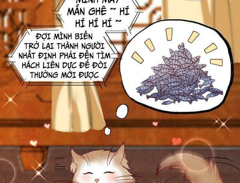 Chương 33 - Trang 25