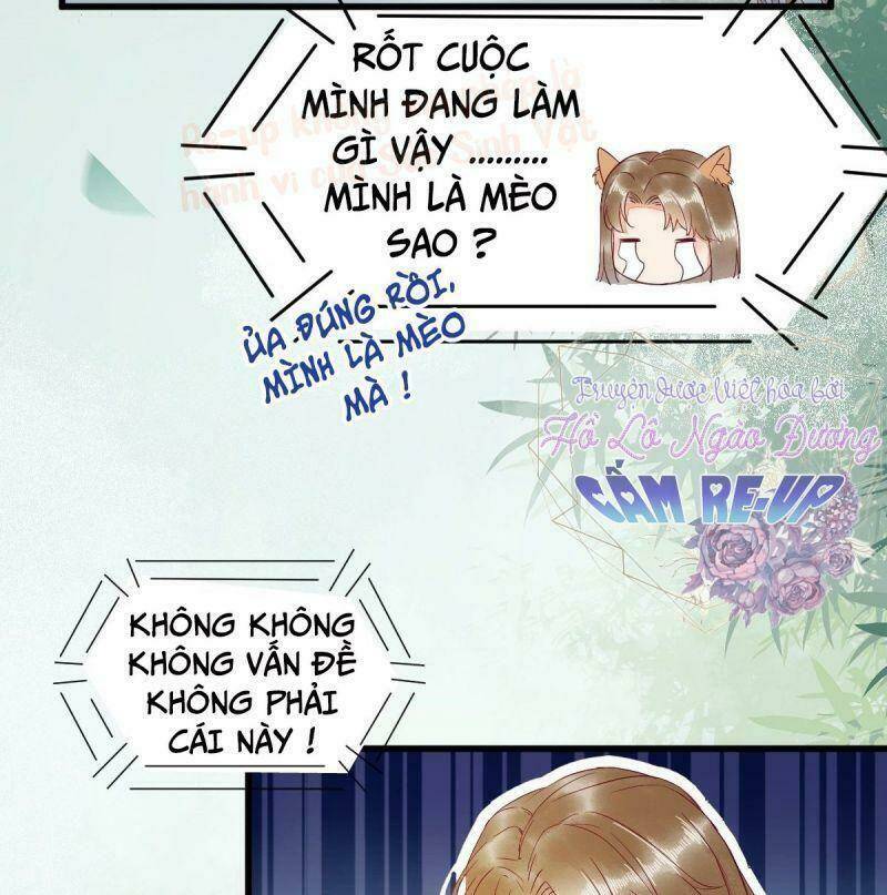 Chương 37 - Trang 19