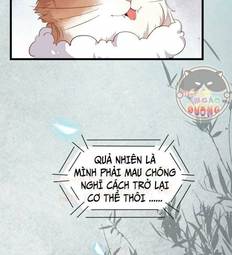 Chương 39 - Trang 31
