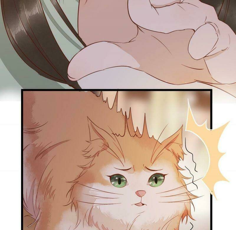 Chương 47 - Trang 41