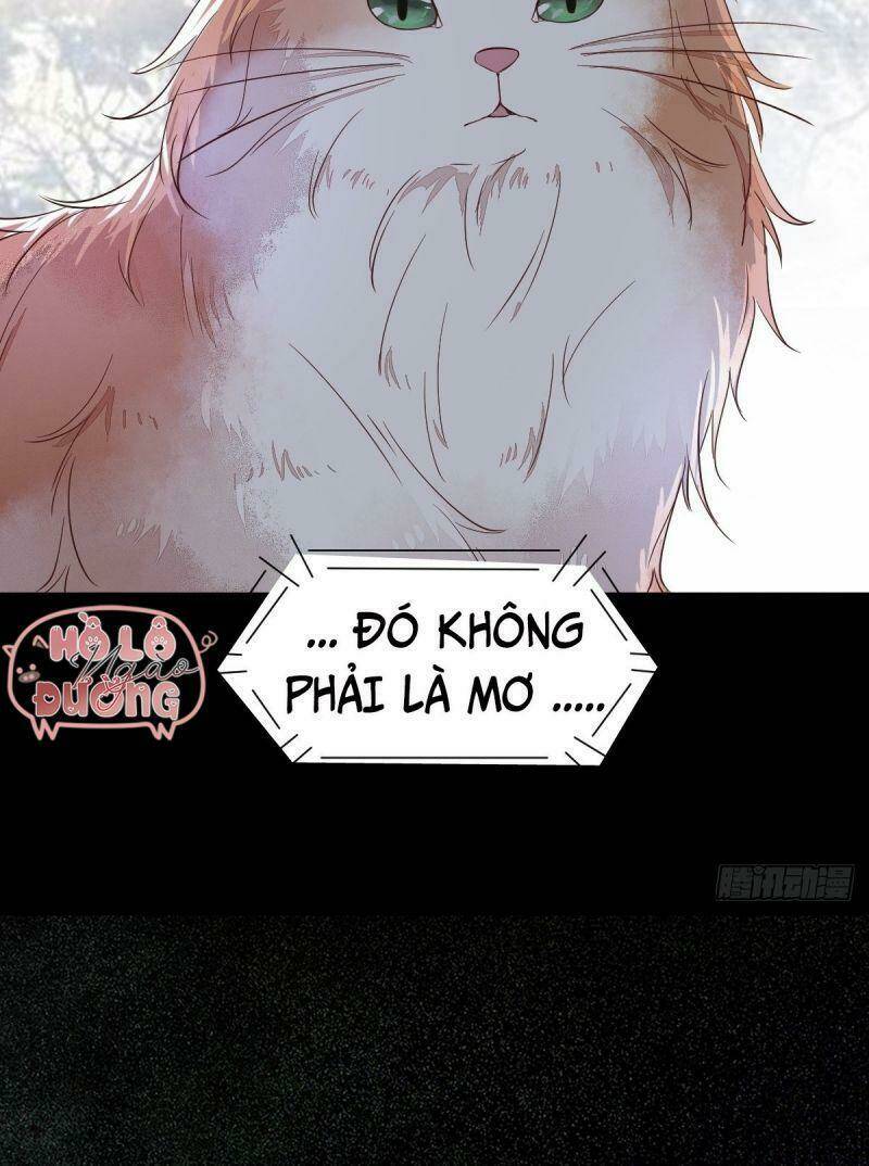 Chương 48 - Trang 52