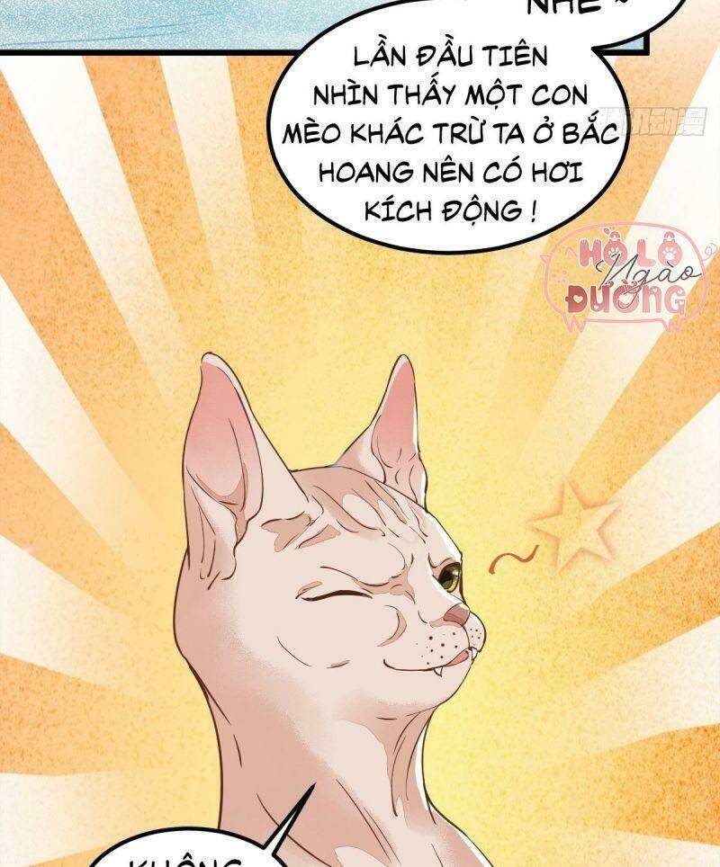 Chương 57 - Trang 42