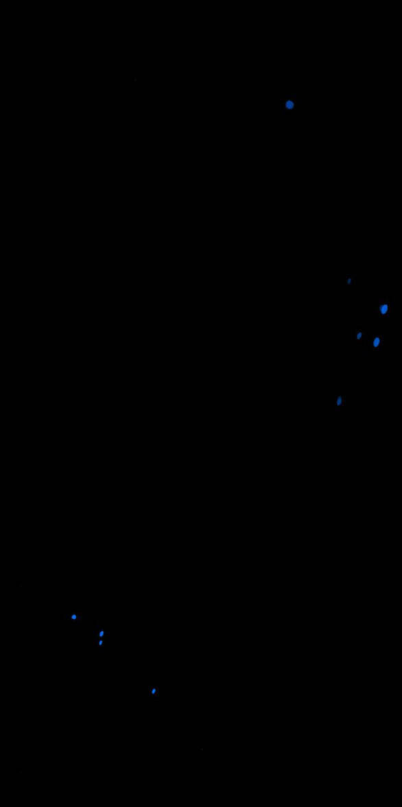 Chương 31.2 - Trang 12