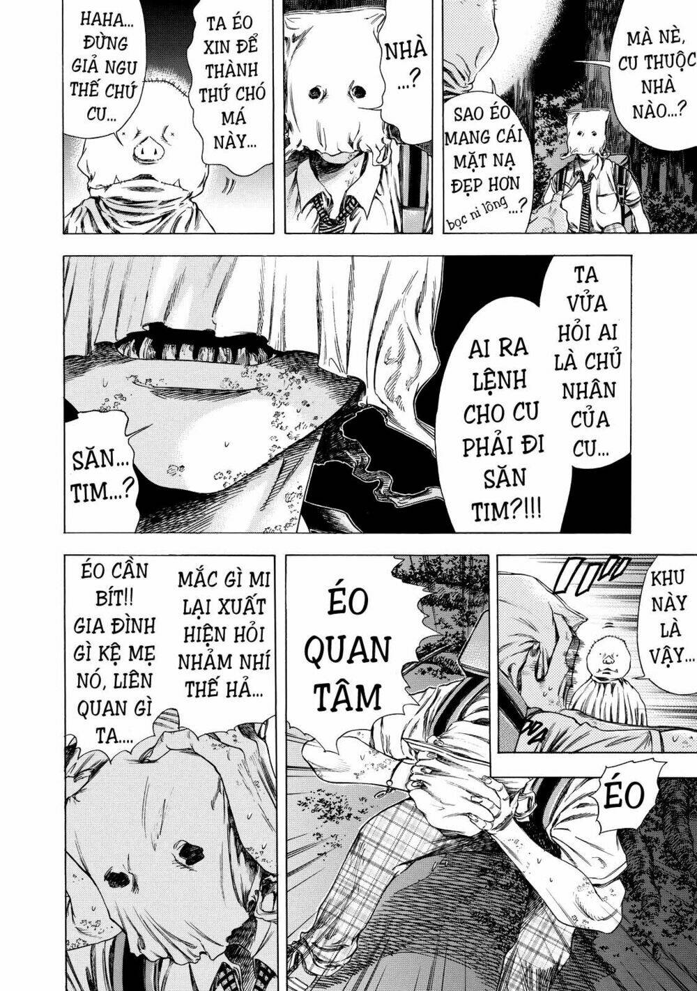 Trang 8
