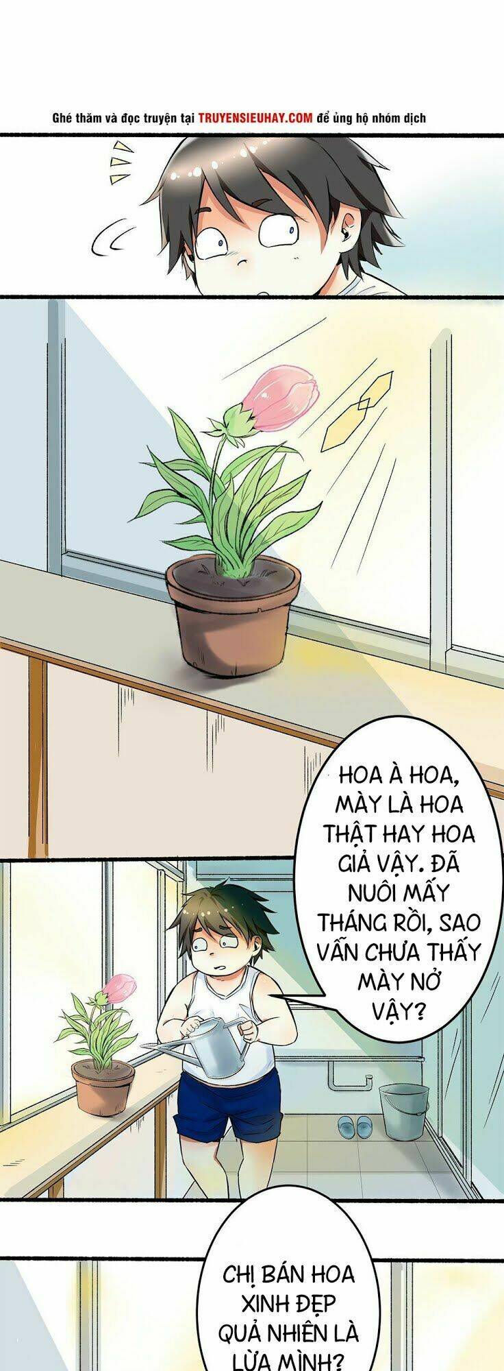 Trang 21