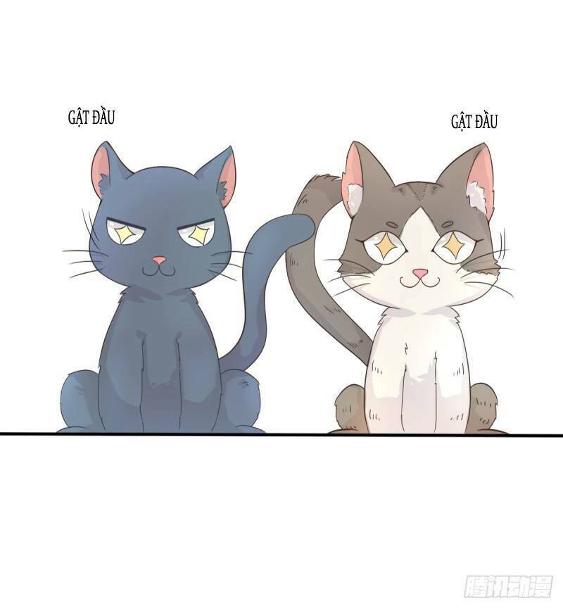Chương 1 - Trang 19