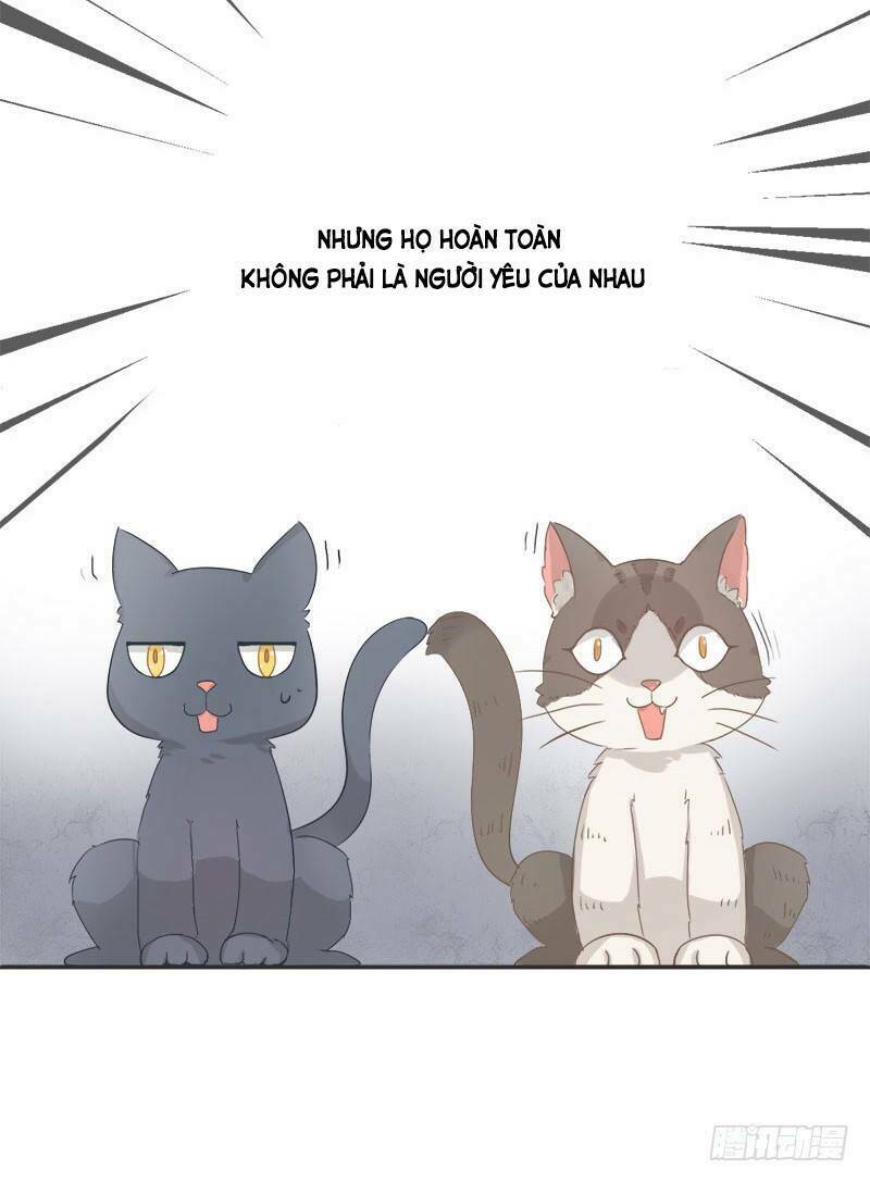 Chương 1 - Trang 6