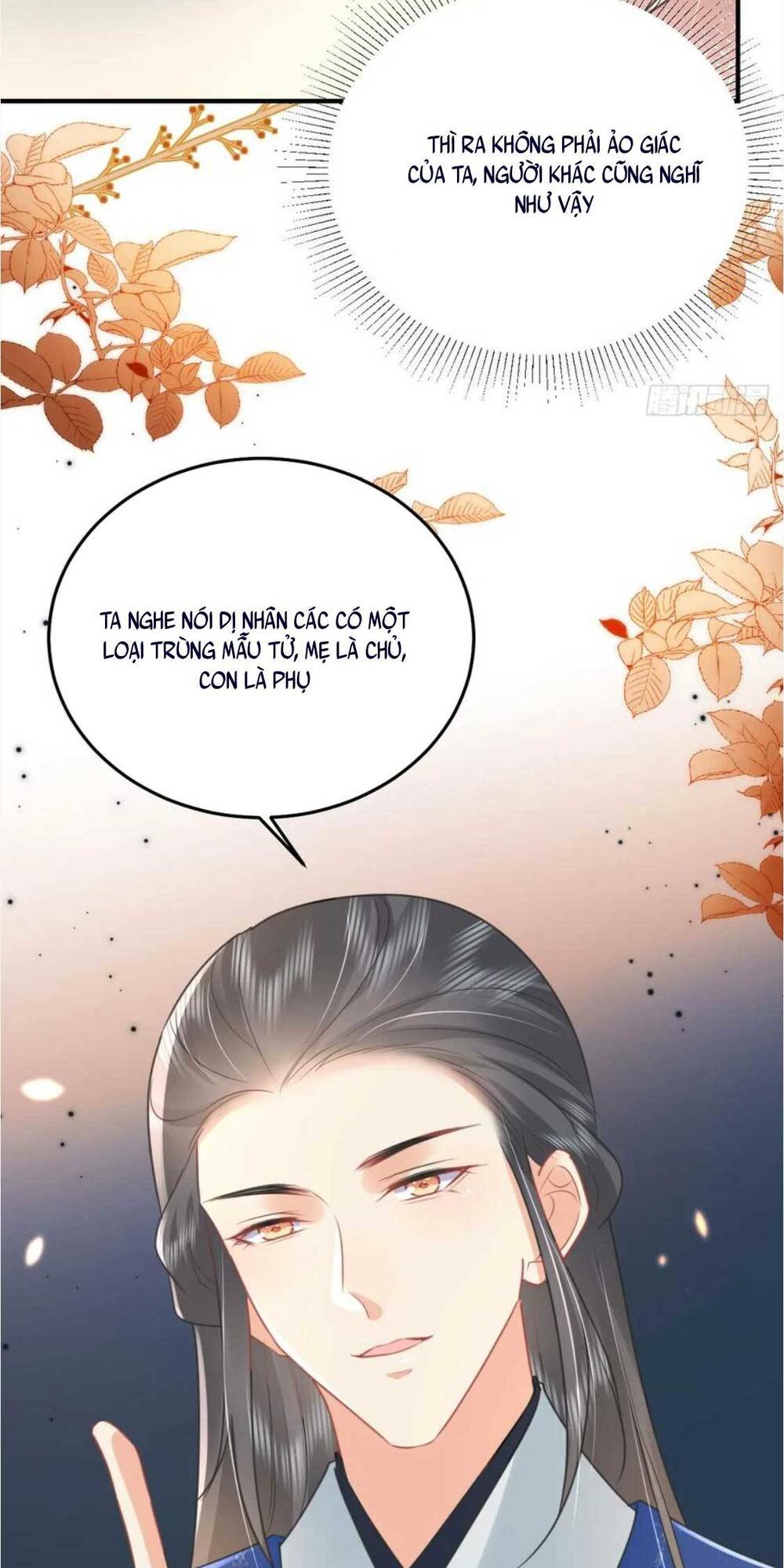 Trang 31