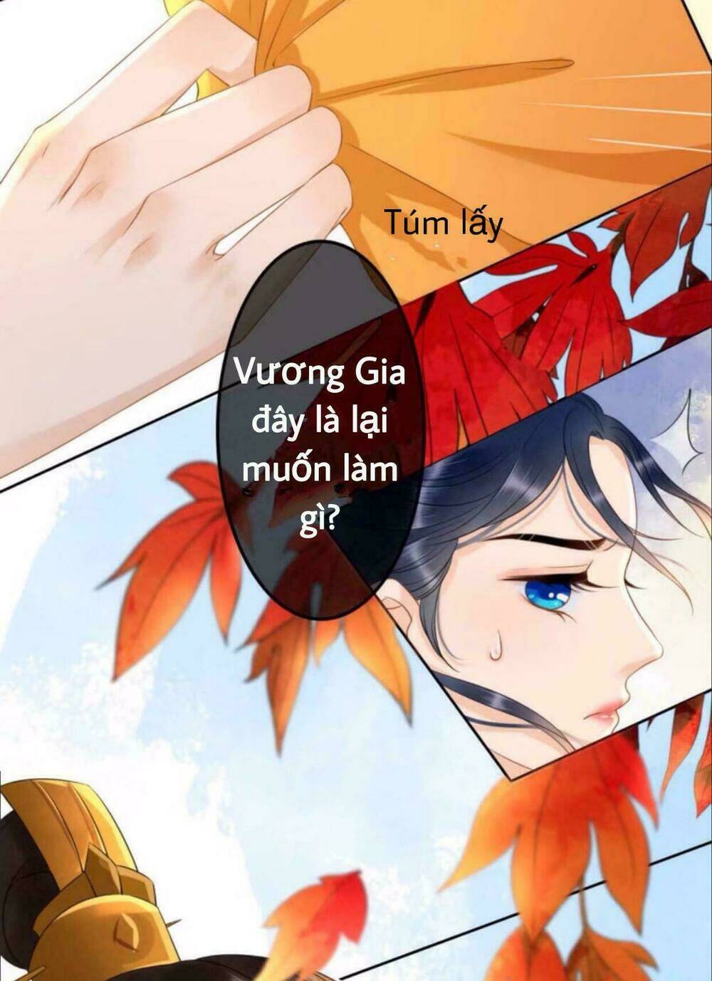 Chương 39 - Trang 28