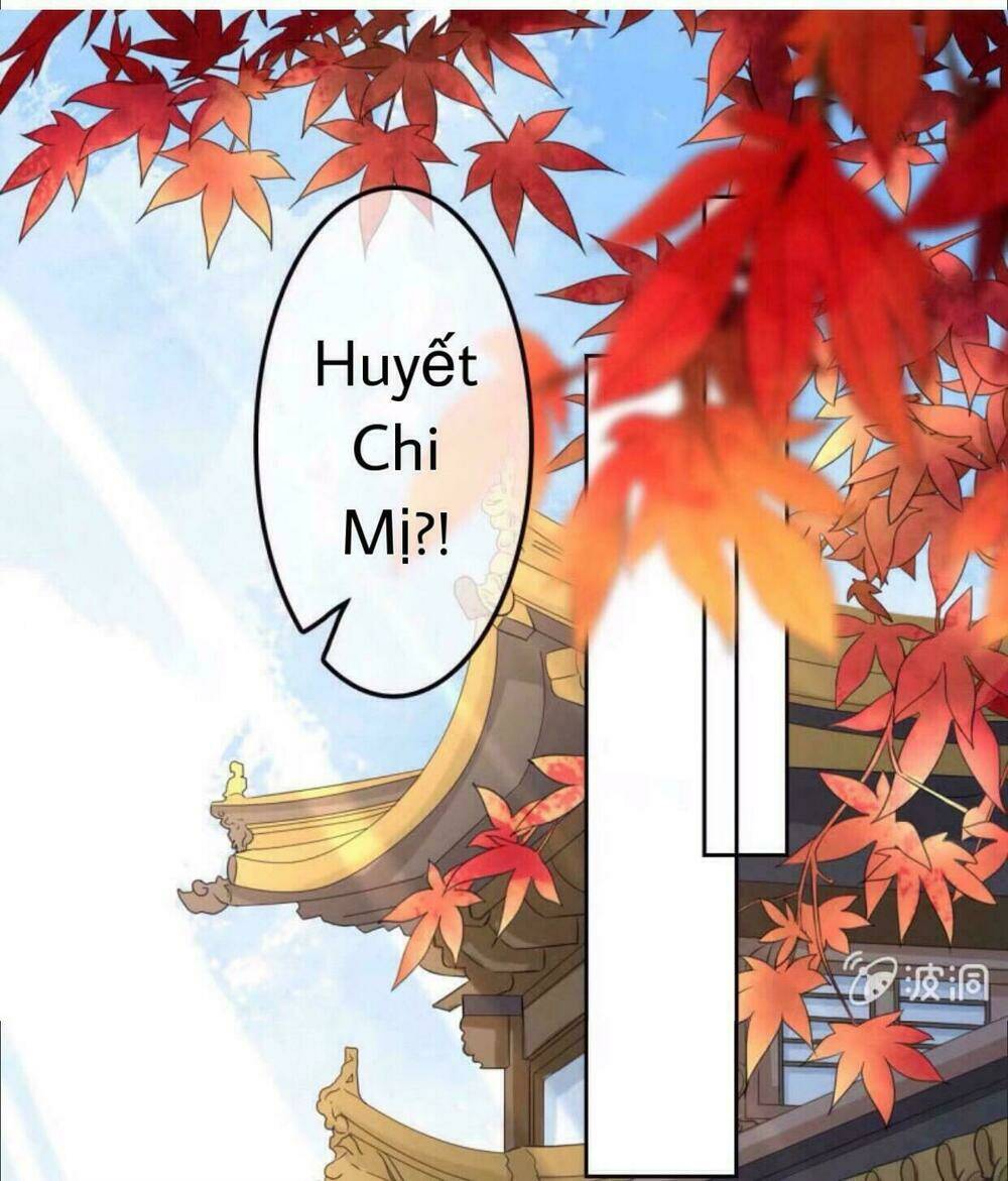 Chương 40 - Trang 2