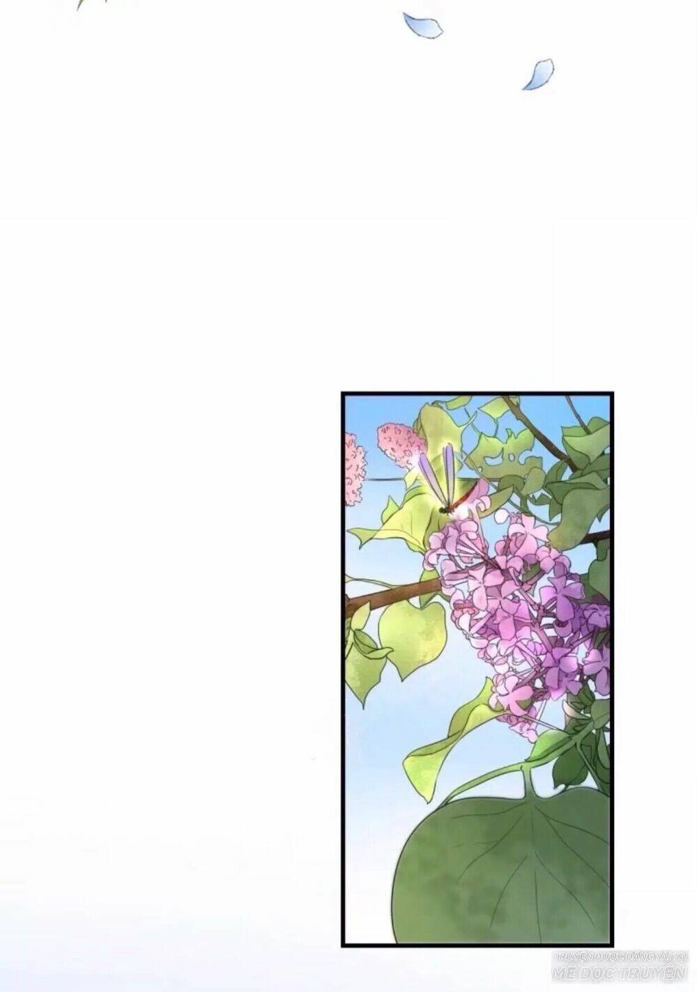 Chương 79 - Trang 1