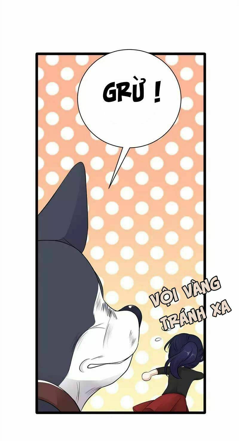 Trang 20