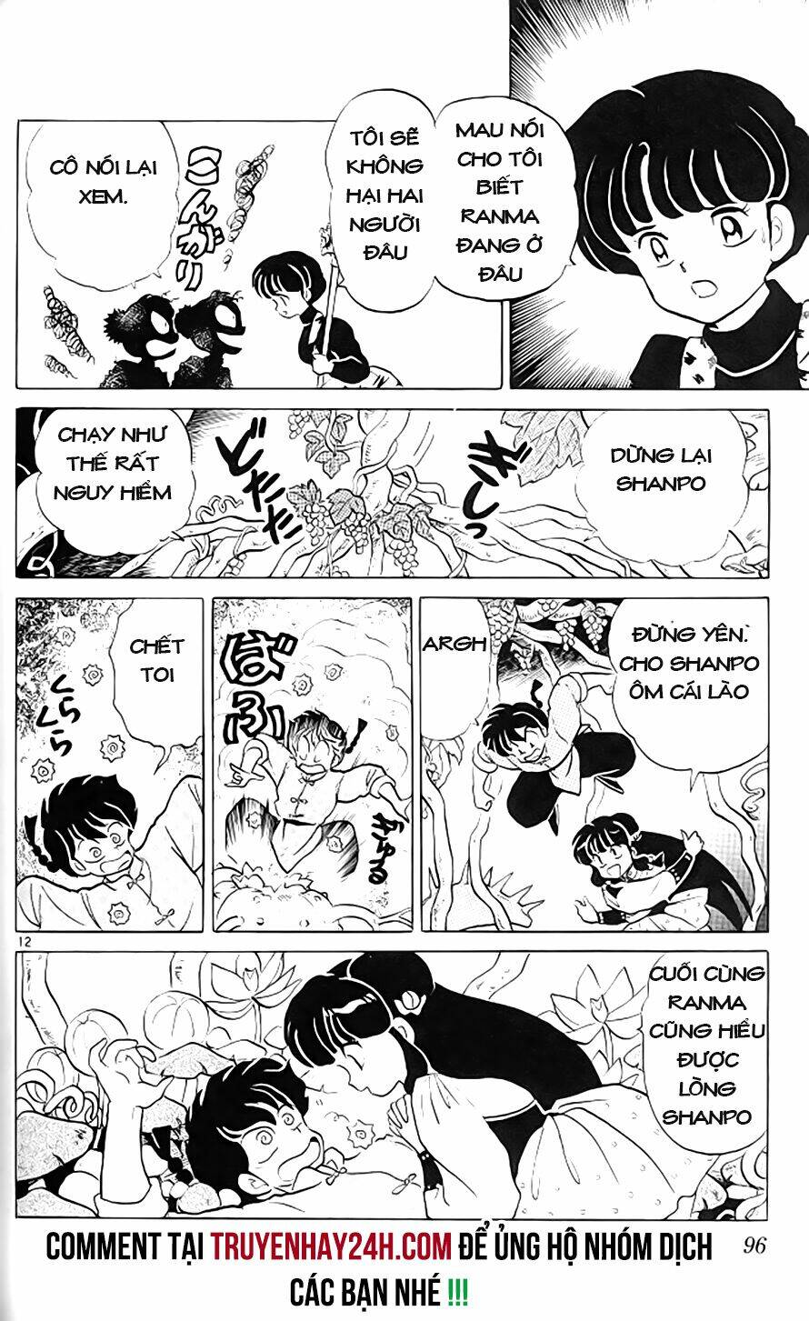 Chương 306 - Trang 13