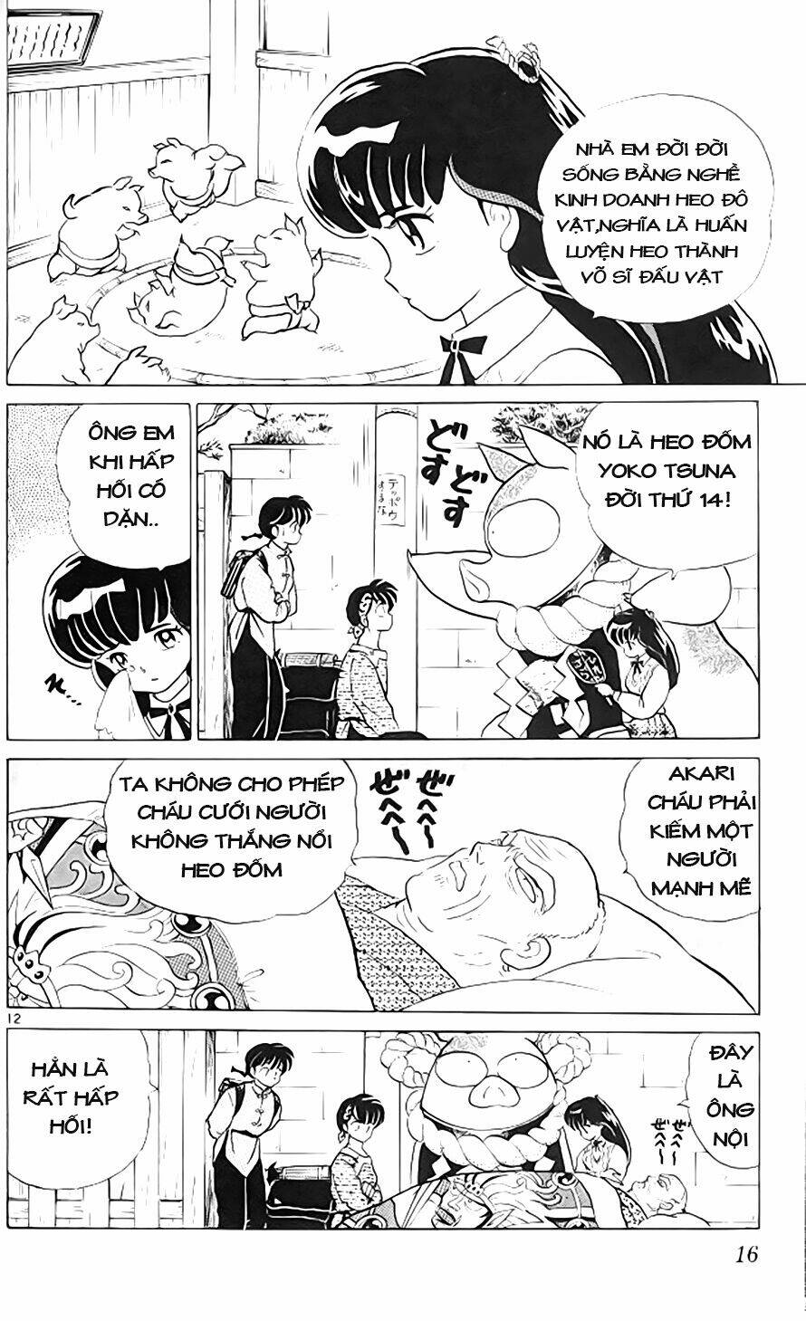 Chương 312 - Trang 13