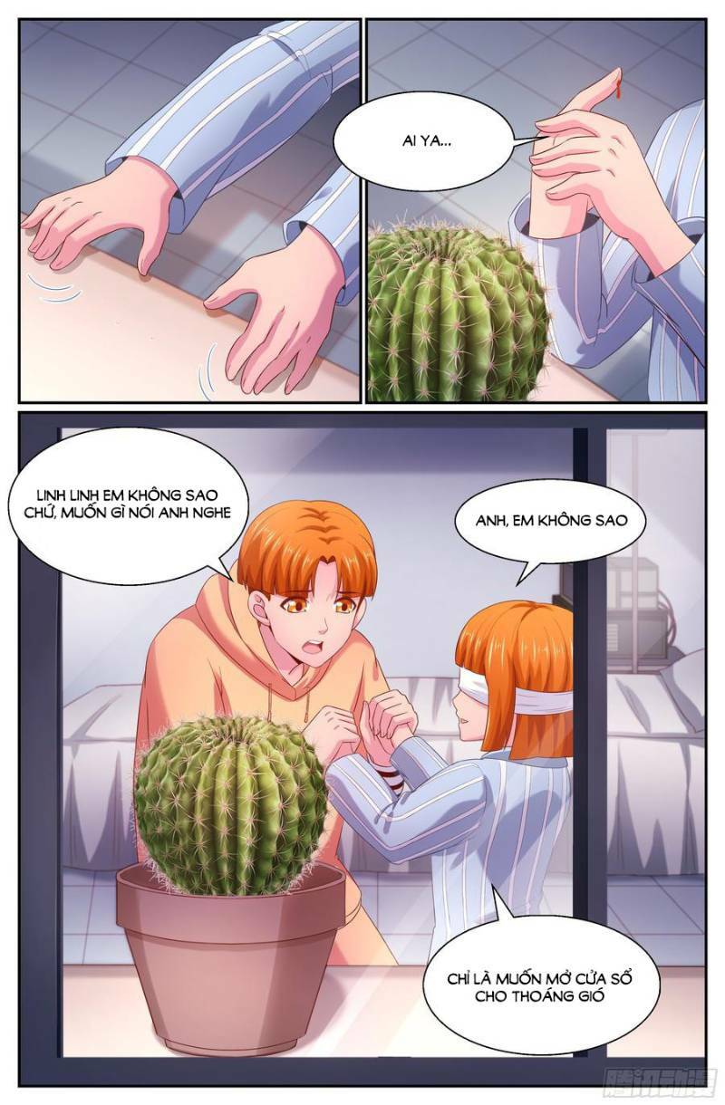 Chương 219 - Trang 8