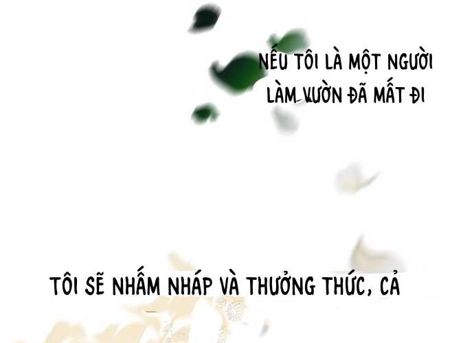 Trang 167