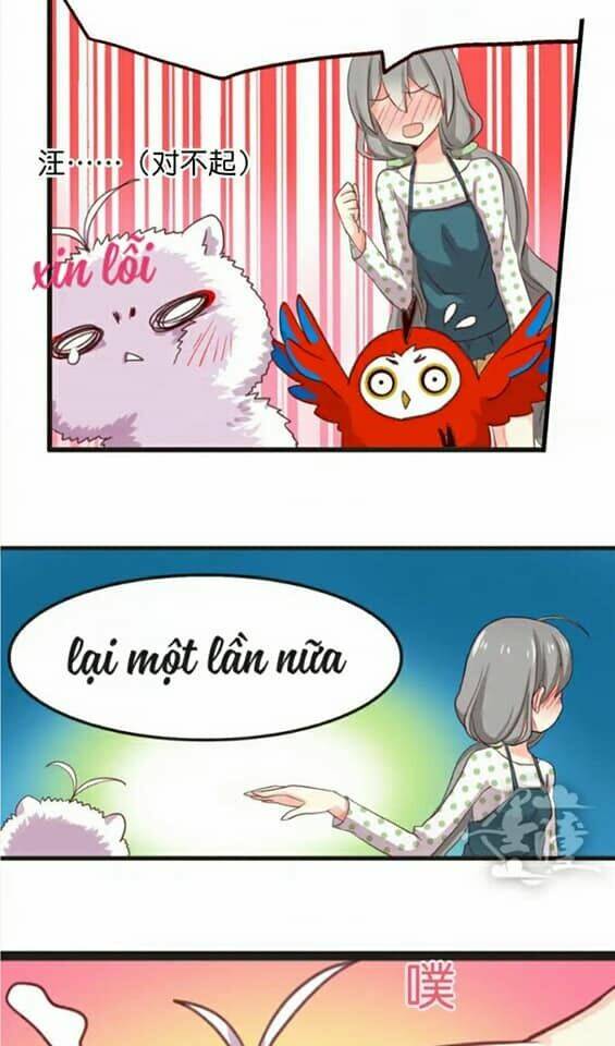 Trang 15