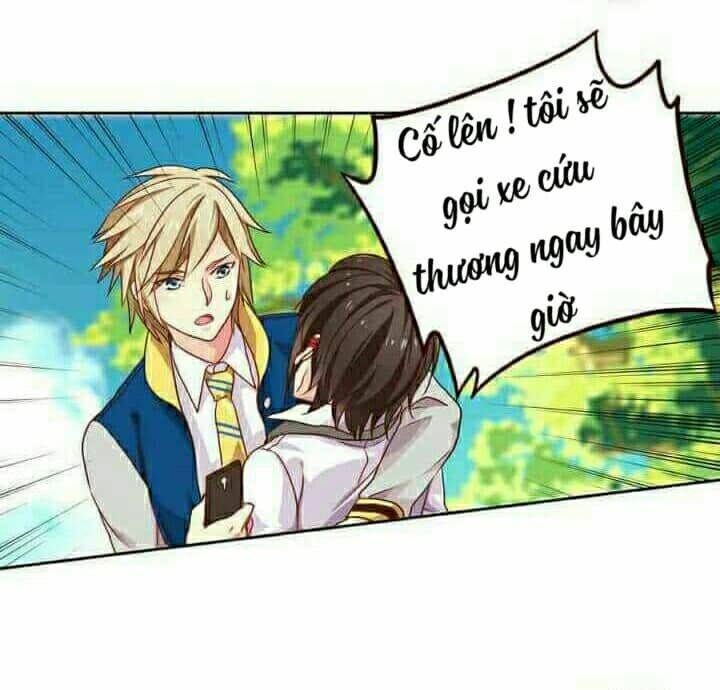 Trang 5